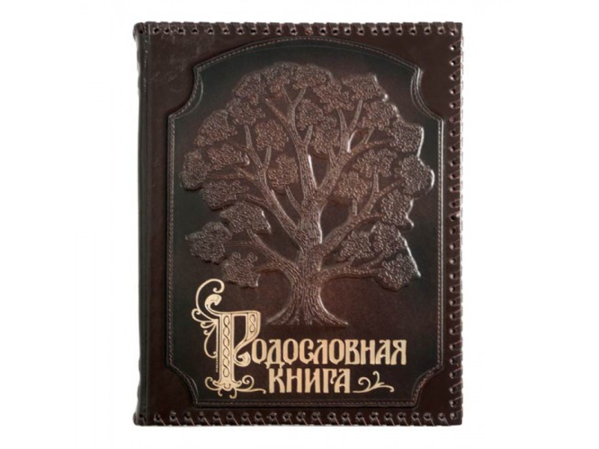 Картинка родословная книга