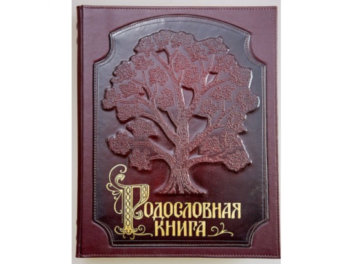 Картинка родословная книга