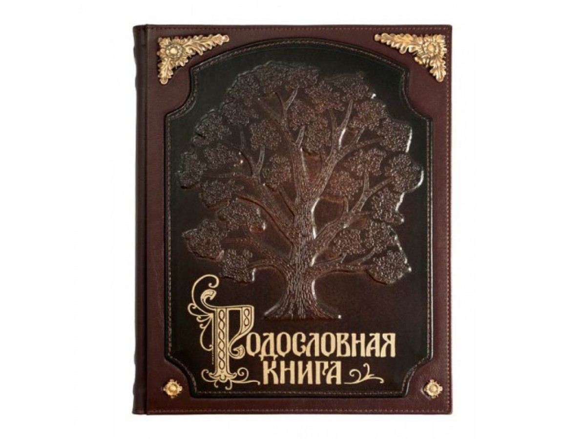 Обложка для родословной книги картинки