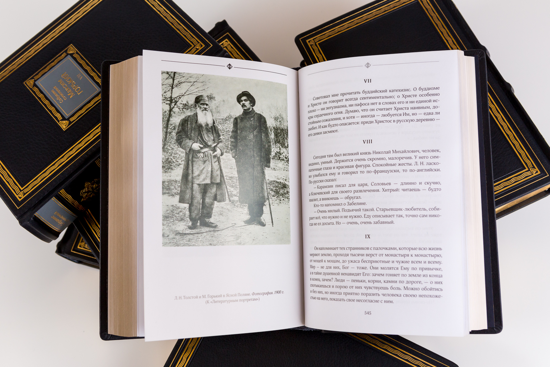 Купить Книгу Горький Выстрел